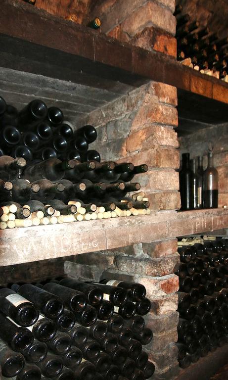 Penzion A Restaurace U Hroznu Velké Bílovice Екстериор снимка